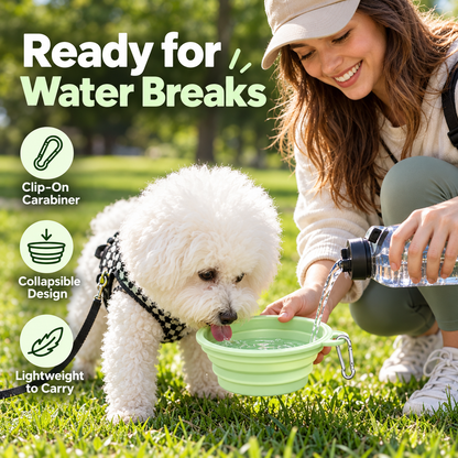 Collapsible Pet Travel Bowl