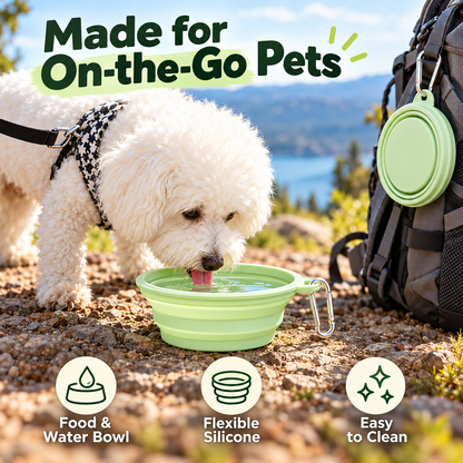 Collapsible Pet Travel Bowl